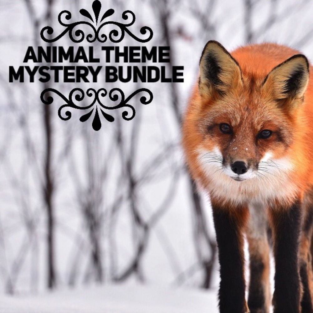 🦒 Animal Theme Mystery Jewelry Bundle 5 Items 🎁 - Picture 1 of 1